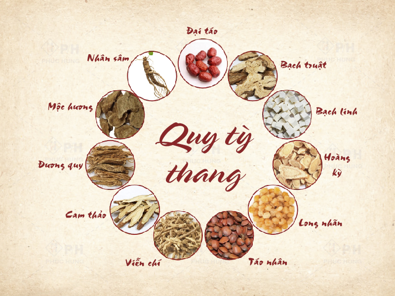 Quy Tỳ Thang - Bài thuốc bổ Tâm và Tỳ