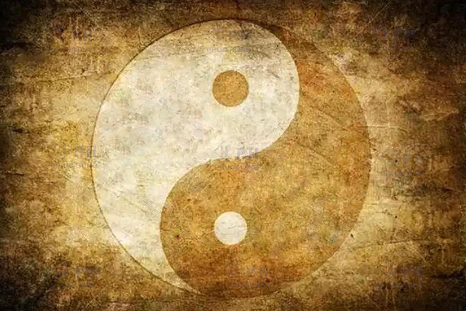 Hiểu đúng về Âm Dương trong Y học cổ truyền - Nền tảng để sử dụng Đông y an toàn và hiệu quả