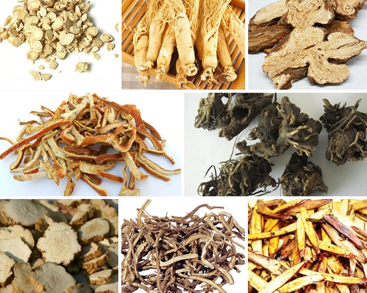 Bổ Trung Ích Khí Thang - Bài thuốc phục hồi “lực nâng” của cơ thể theo Đông y
