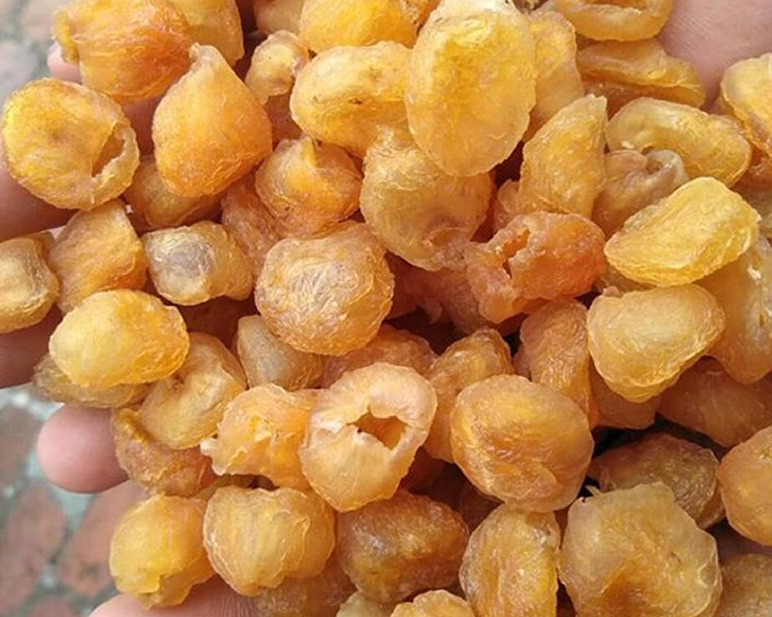 Dưỡng tâm mùa hè: Giới thiệu hai vị thuốc Đông y thường dùng