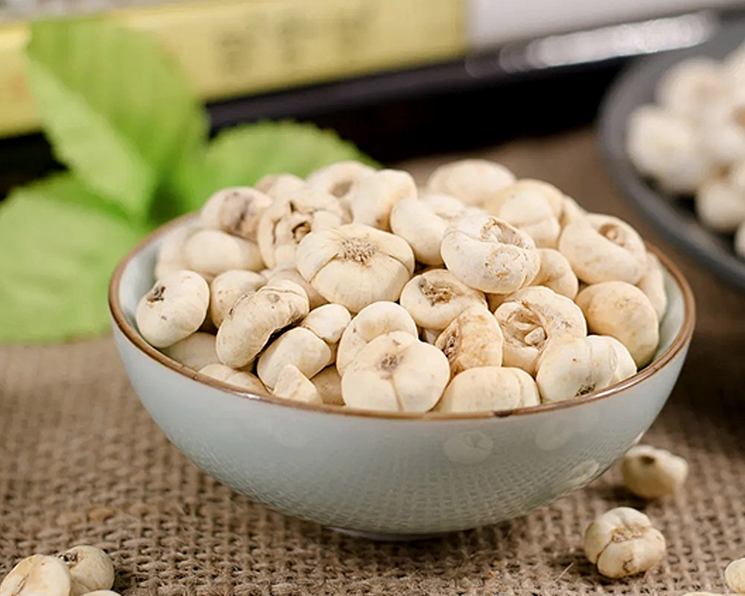 Vị thuốc Bối Mẫu có tác dụng như thế nào?